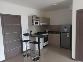 Departamento céntrico de categoría